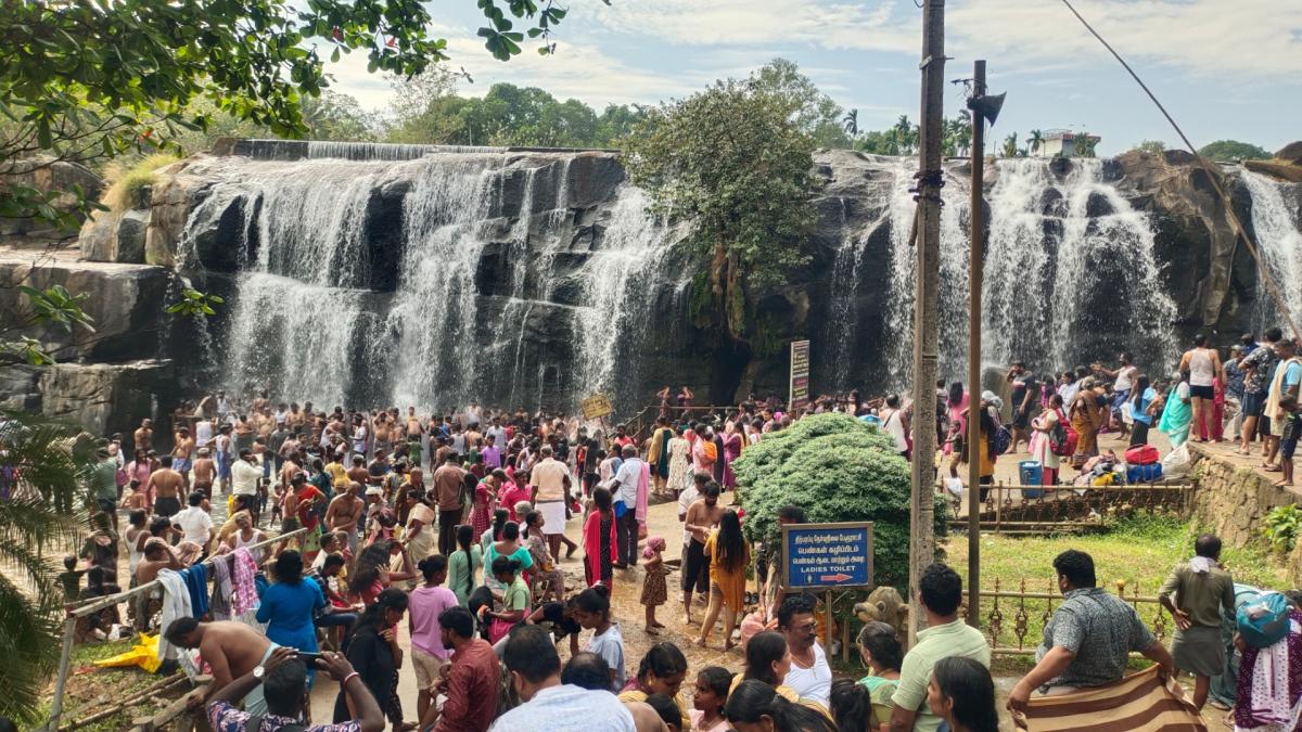 தொடர் விடுமுறையால் திற்பரப்பு அருவியில் குவிந்த சுற்றுலா பயணிகள்! | continuous holidays Tourists flock to Thirparappu Falls