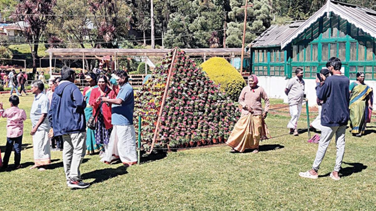 உதகை அரசு தாவரவியல் பூங்காவில் சுற்றுலா பயணிகளை கவரும் மலர் பிரமிடுகள் | Flower pyramids attract tourists at the Ooty Government Botanical Gardens