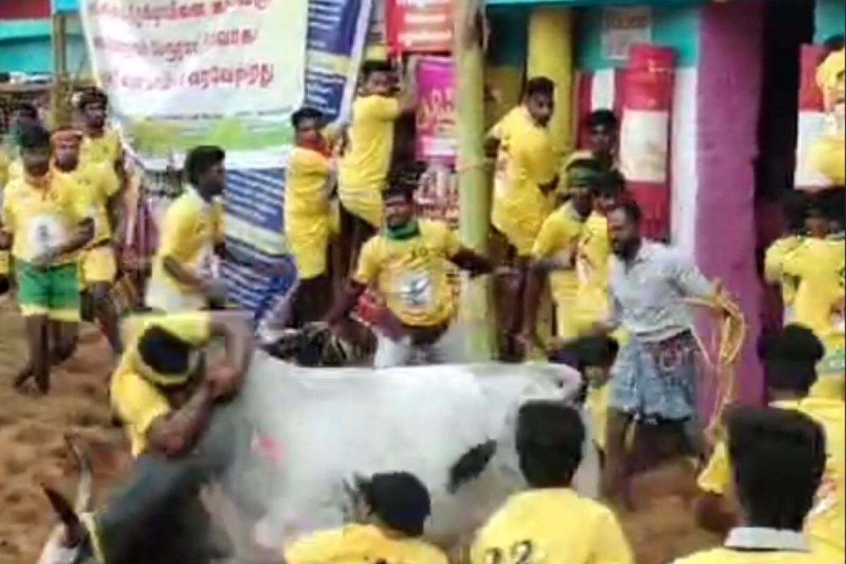 Palamedu Jallikattu | மதுரை பாலமேடு ஜல்லிக்கட்டு தொடக்கம்.. களத்தில் 1100 காளைகள், 910 வீரர்கள்