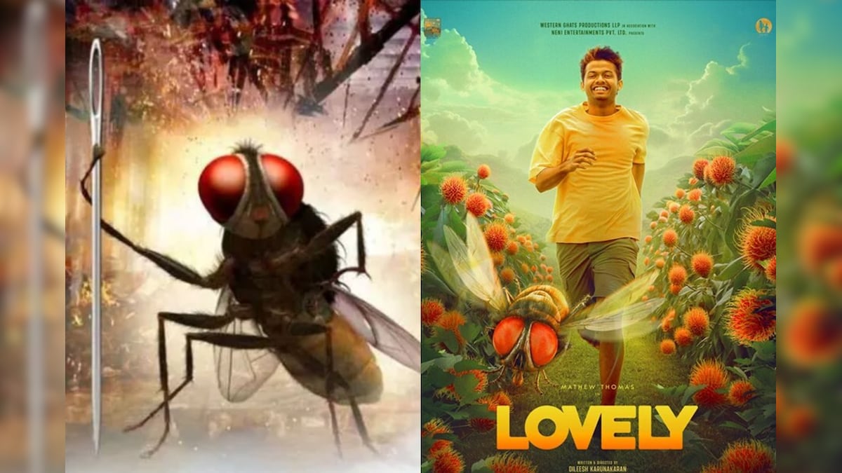 'நான் ஈ' படத்தின் ஈ கேரக்டர் காப்பி: 'லவ்லி' படத்துக்கு நோட்டீஸ்!