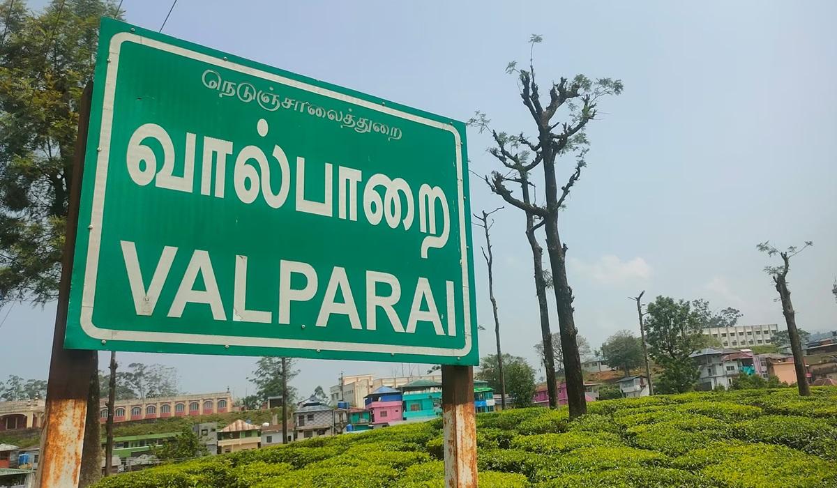 ஊட்டி, கொடைக்கானல் போல வால்பாறைக்கு செல்ல நவ.1 முதல் இ-பாஸ் திட்டத்தை அமல்படுத்த ஐகோர்ட் உத்தரவு | High Court orders implementation of e-pass scheme from Nov 1 to travel to Valparai like Ooty and Kodaikanal