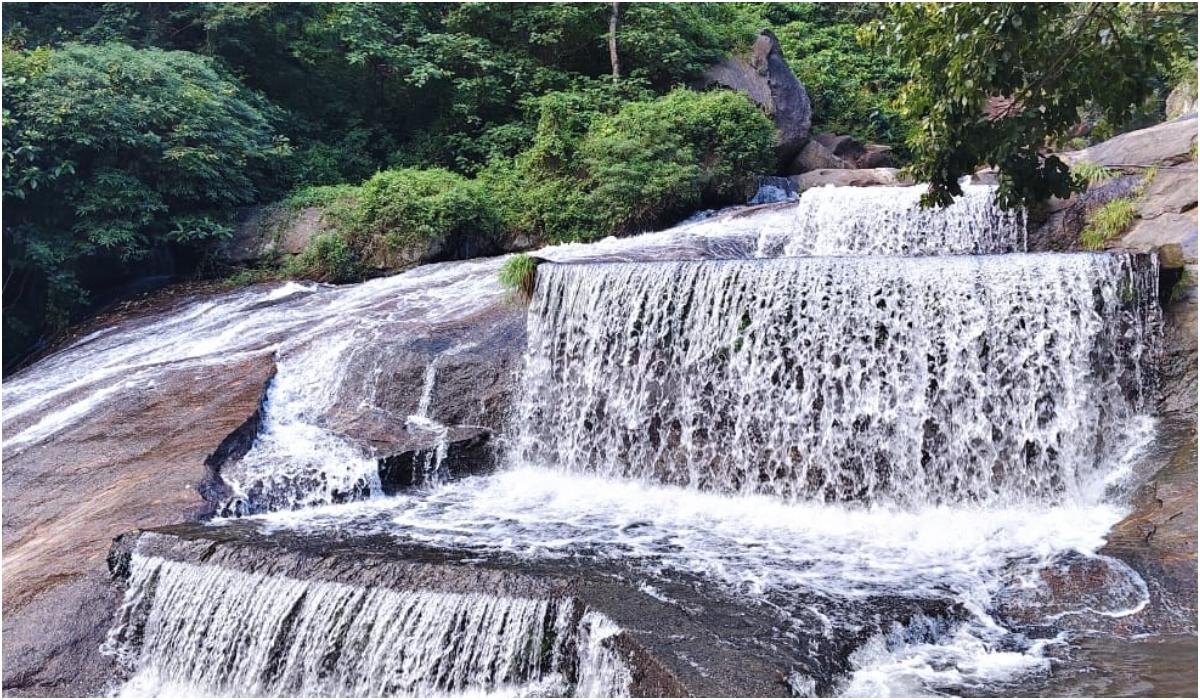 கோவை குற்றாலம் செல்ல நாளை முதல் அனுமதி – வனத்துறை அறிவிப்பு | Kovai Kutrala to Allow Visitors from Tomorrow, Says Official Announcement