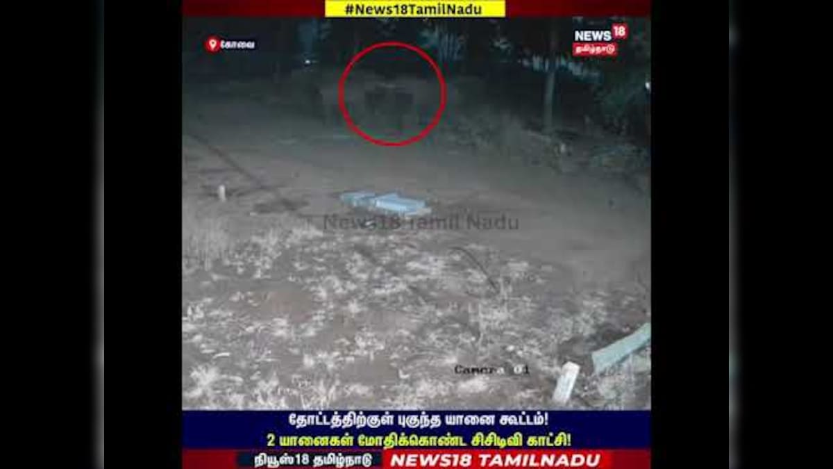 Elephant | தோட்டத்திற்குள் புகுந்த யானை கூட்டம்! 2 யானைகள் மோதிக்கொண்ட சிசிடிவி காட்சி! | N18S | தமிழ்நாடு