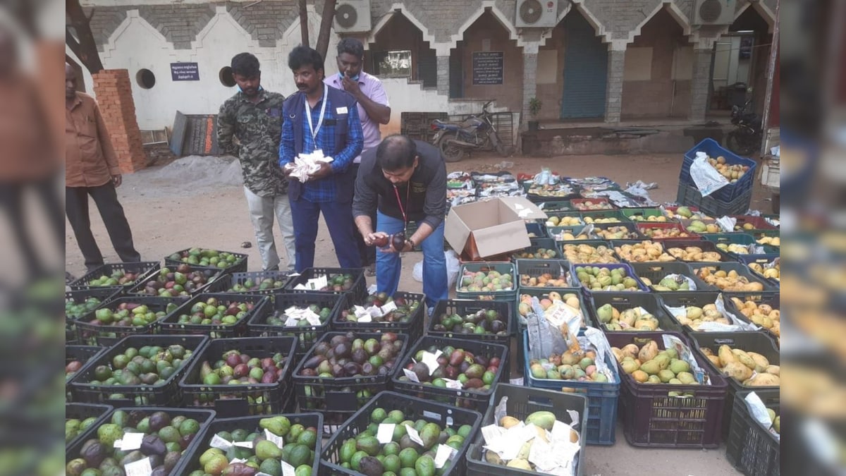 ரசாயன பவுடர் மூலம் பழுக்கவைக்கப்பட்ட 7.5 டன் மாம்பழங்கள்.. சென்னை கோயம்பேடு மார்கெட்டில் பறிமுதல் | தமிழ்நாடு