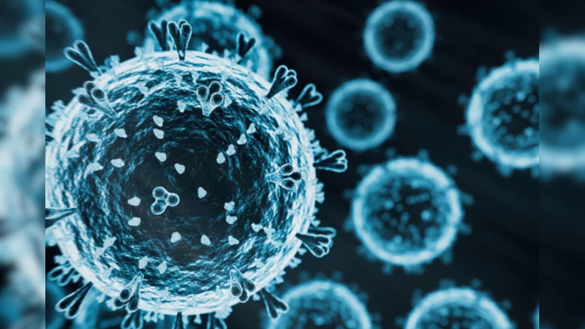 H5N1 வைரஸ் மனிதர்களுக்கு எப்படிப் பரவக்கூடும்? – ஆய்வில் கண்டறிந்த இந்திய விஞ்ஞானிகளின் விளக்கம் | லைஃப்ஸ்டைல்