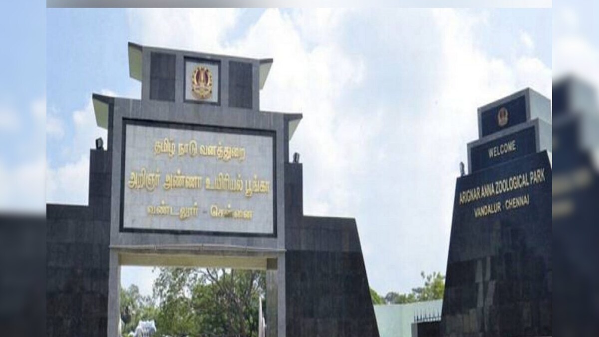 கோடை விடுமுறைக்கு குழந்தைகளுடன் வண்டலூர் உயிரியல் பூங்கா செல்ல திட்டமா..? முதல்ல இதை படிங்க… | தமிழ்நாடு